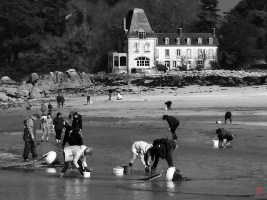 29-Douarnenez-1110203