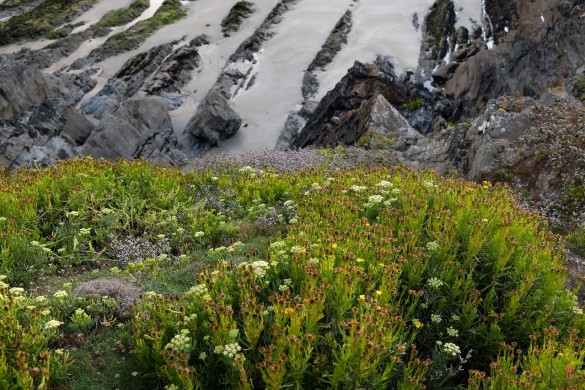 29-Pointe-de-Trefeuntec-1000092