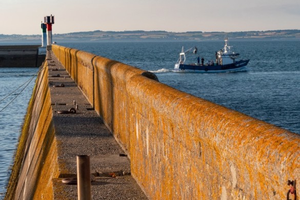 29-Douarnenez-1240879