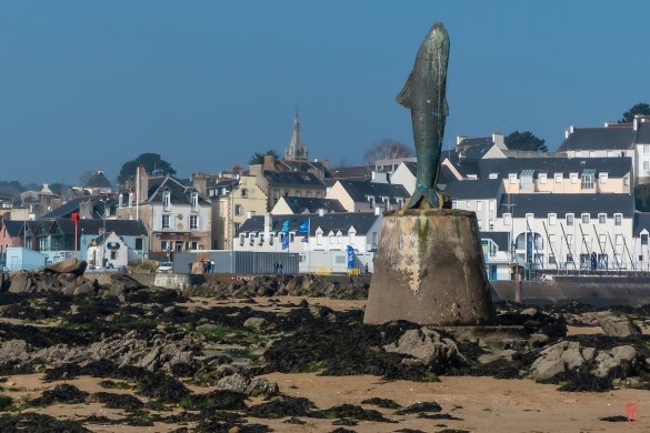 29-Douarnenez-1110141