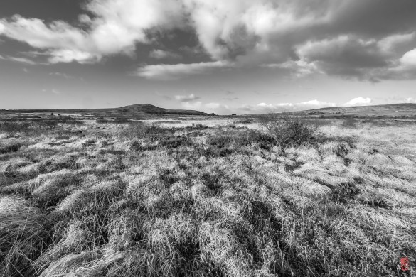 29-Mont-dArrees-1010195-2