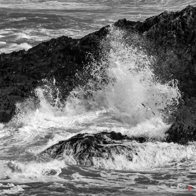 29-Pointe-de-Trefeuntec-1310279