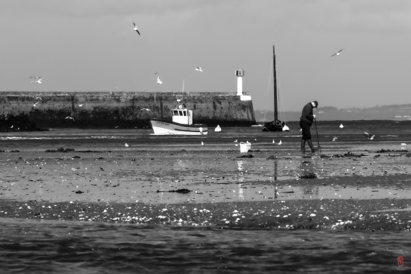 29-Douarnenez-1022785-2
