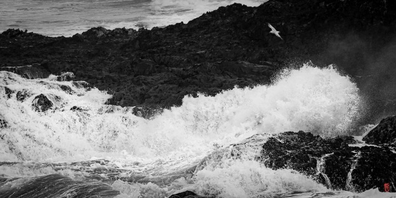 29-Pointe-de-Trefeuntec-1310377