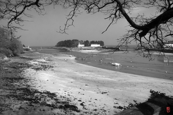 29-Douarnenez-1110196