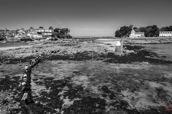 29-Douarnenez-1240357