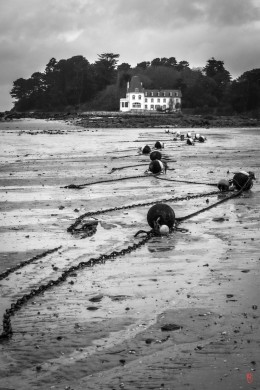 29-Douarnenez-1022699