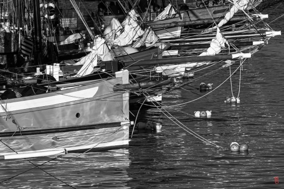 29-Fetes-maritimes-DZ-1240864