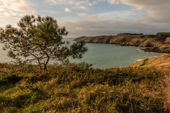 56-Belle-Ile-en-Mer-1090415