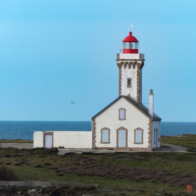 56-Belle-Ile-en-Mer-1090553