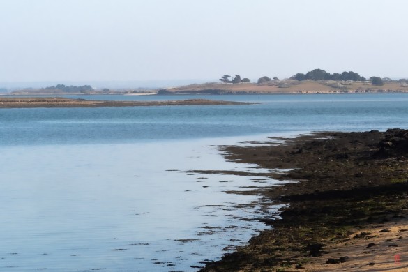 56-Golfe-du-Morbihan-1067289