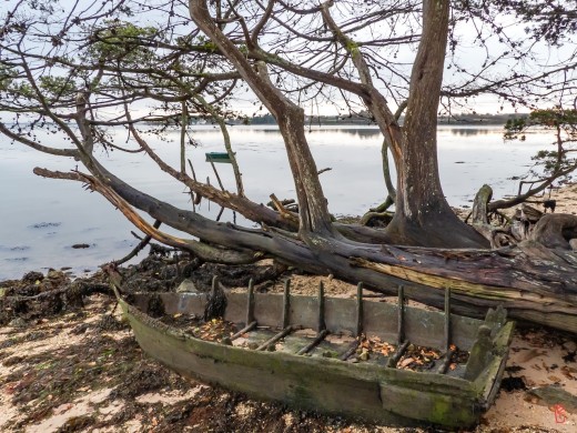 56-Golfe-du-Morbihan-1070396