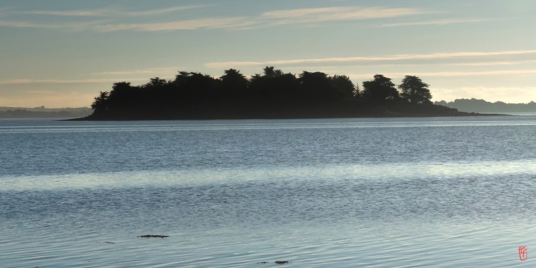 56-Golfe-du-Morbihan-1070534