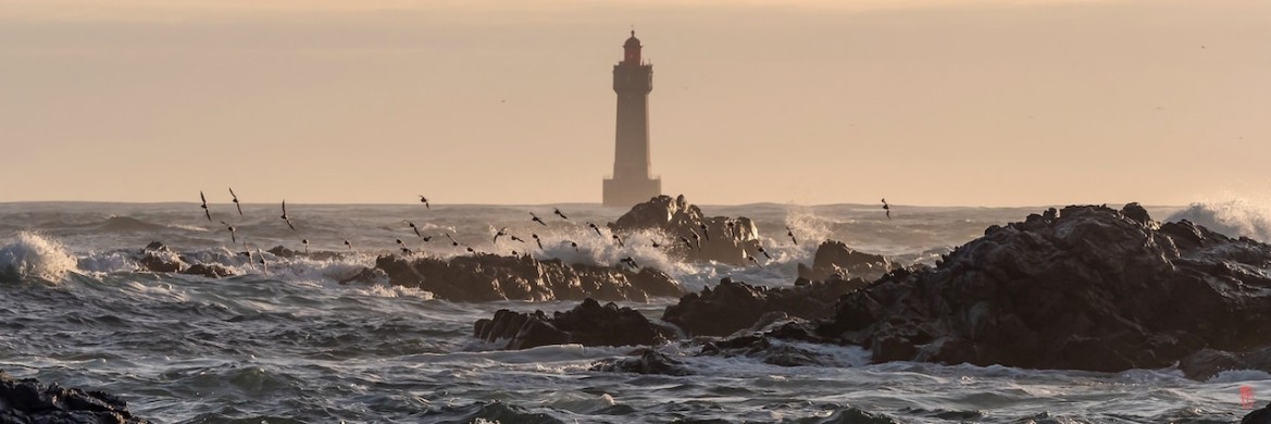 29-La-Jument-Ouessant-1330264