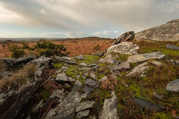29-Mont-dArrees-1010215