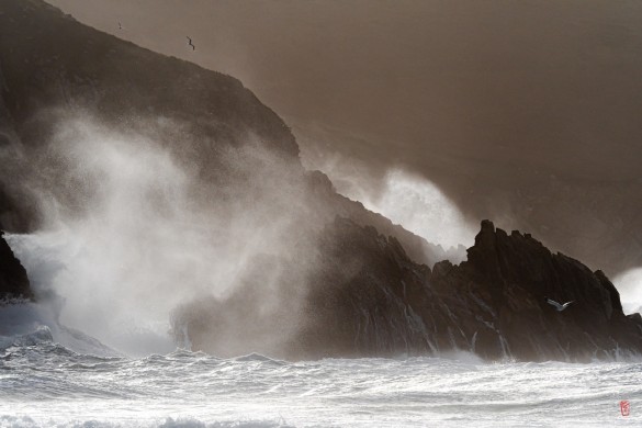 29-Baie-des-Trepases-1044717