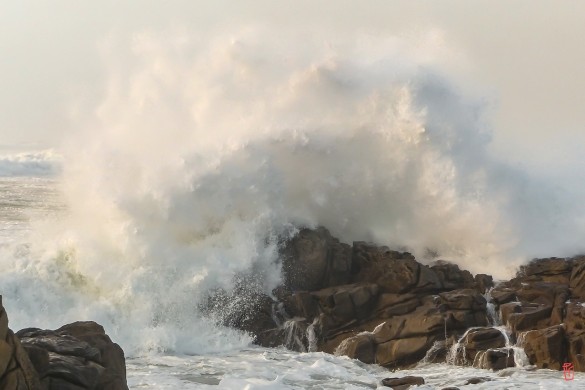 29-La-Torche-1010359