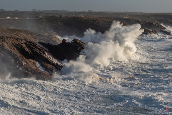 56-Presquile-de-Quiberon-1220908