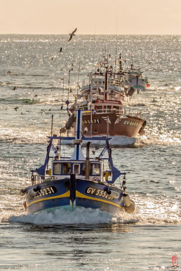 Retour de pêche au Guilvinec
