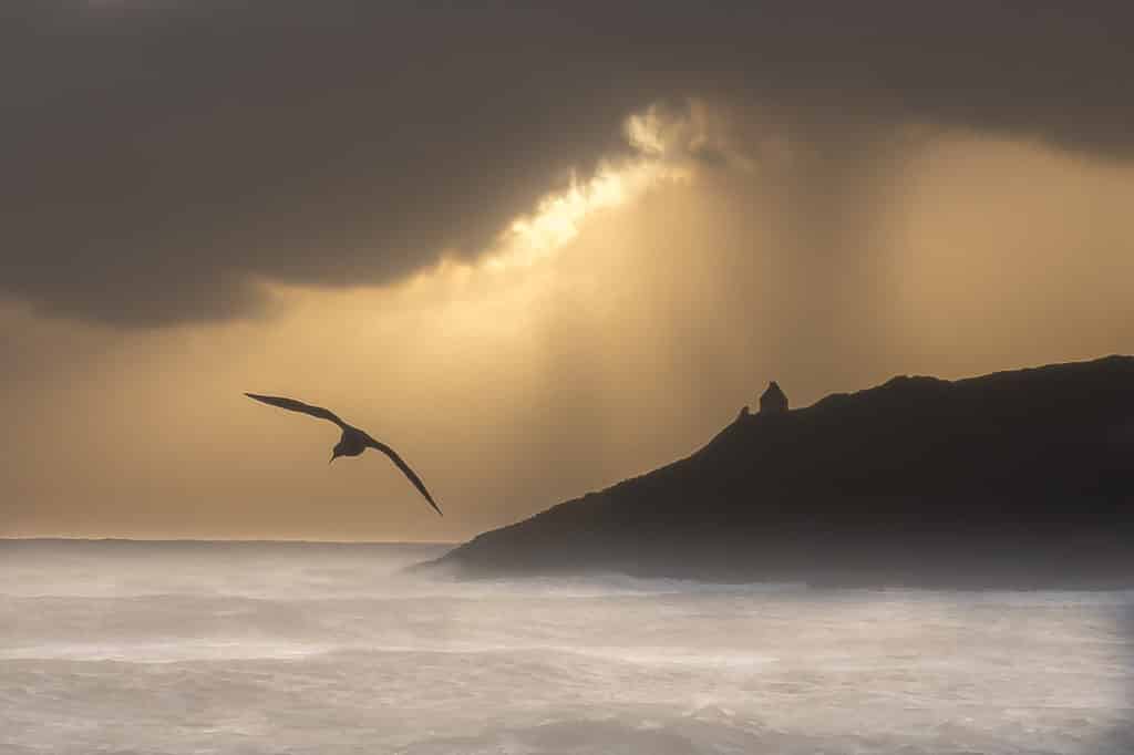 Edition, livres, posters et calendriers Galerie Entre-vues